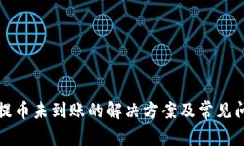 TP钱包提币未到账的解决方案及常见问题解析