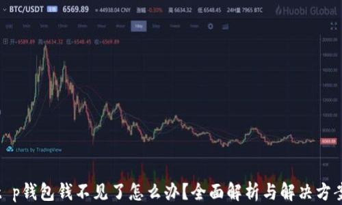 
t p钱包钱不见了怎么办？全面解析与解决方案