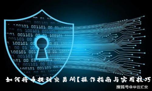  如何将币提到交易所？操作指南与实用技巧