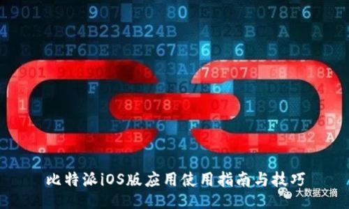 比特派iOS版应用使用指南与技巧