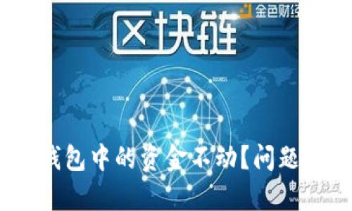 为何 Ownbit 钱包中的资金不动？问题分析与解决方案