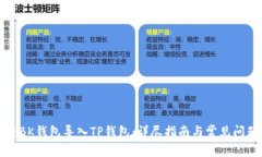 如何将BK钱包导入TP钱包：详尽指南与常见问题解