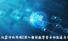   TOpay卖币是玩家付的钱吗？深入解析数字货币的