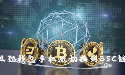 如何在小狐狸钱包手机版切换到BSC链：详细指南