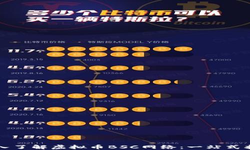 深入了解虚拟币BSC网络:一站式指南