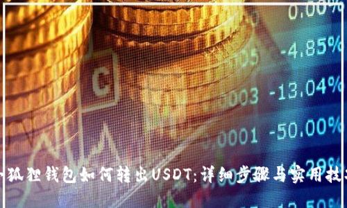 小狐狸钱包如何转出USDT：详细步骤与实用技巧