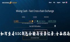 如何查看BSC钱包余额与交易记录：全面指南