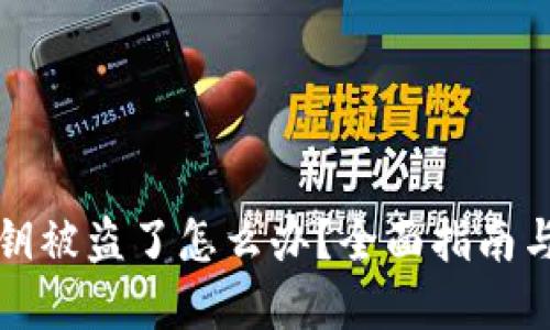 TP钱包私钥被盗了怎么办？全面指南与解决方案