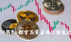TP钱包：探索其背后的公链生态