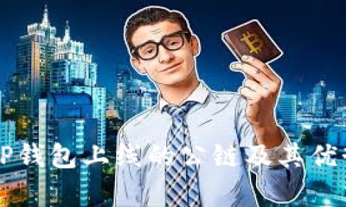 能在TP钱包上线的公链及其优势分析