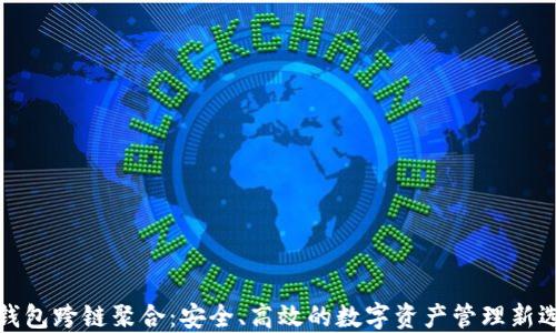 
TP钱包跨链聚合：安全、高效的数字资产管理新选择