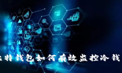 比特钱包如何有效监控冷钱包