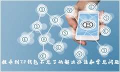 火币提币到TP钱包不见了的解决办法和常见问题解