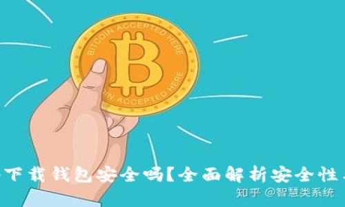 虚拟币app下载钱包安全吗？全面解析安全性与使用指南