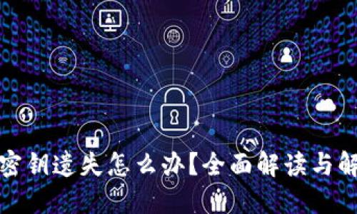 冷钱包密钥遗失怎么办？全面解读与解决方案