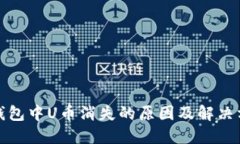 TP钱包中U币消失的原因及解决方案