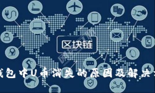 TP钱包中U币消失的原因及解决方案