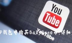 如何在TP钱包中购买BabyDoge币：详细步骤指南