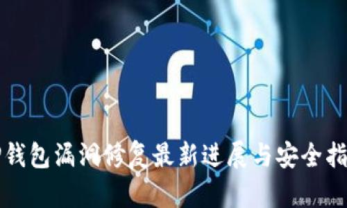 TP钱包漏洞修复最新进展与安全指南