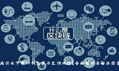 为什么下载TP钱包显示支付风险？全面解析与解决方案