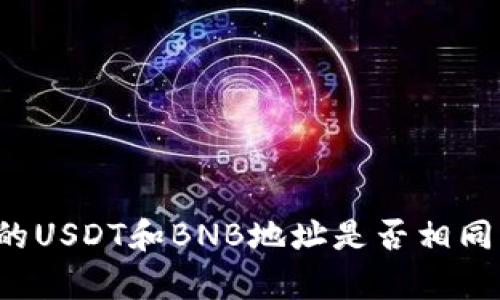 TP钱包中的USDT和BNB地址是否相同？全面解析