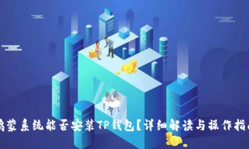 鸿蒙系统能否安装TP钱包？详细解读与操作指南