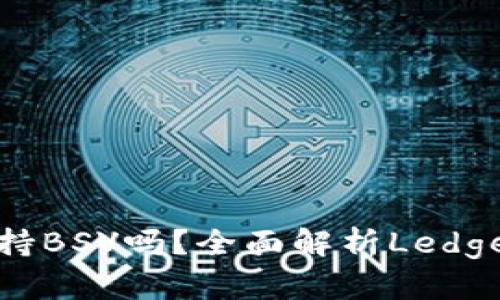 Ledger冷钱包支持BSV吗？全面解析Ledger与BSV的兼容性