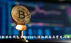 如何激活冷钱包中的USDT：详细指南与常见问题解