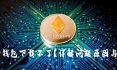 为什么TP钱包下载不了？详解问题原因与解决方案