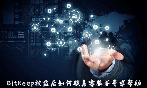 
BitKeep被盗后如何联系客服并寻求帮助