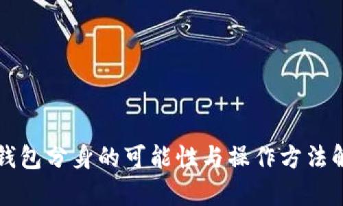 TP钱包分身的可能性与操作方法解析