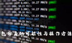 TP钱包分身的可能性与操作方法解析