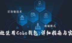 如何高效使用Cobo钱包：详细指南与实用技巧