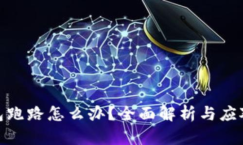 TP钱包跑路怎么办？全面解析与应对措施