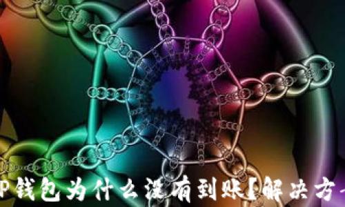 
提现到TP钱包为什么没有到账？解决方案全攻略