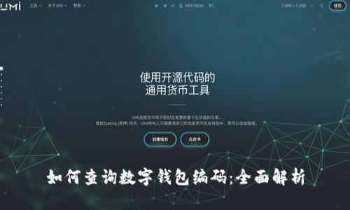 如何查询数字钱包编码：全面解析