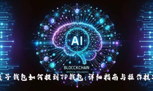 麦子钱包如何提到TP钱包：详细指南与操作技巧