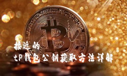 接近的
tP钱包公钥获取方法详解