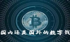 tP钱包：国内还是国外的数字钱包选项？