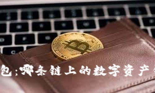 TP钱包：哪条链上的数字资产钱包？