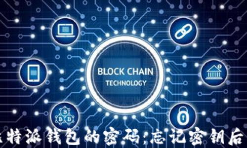 
如何找回比特派钱包的密码：忘记密钥后的解决方法