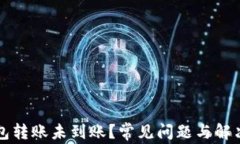 TP钱包转账未到账？常见问题与解决方法