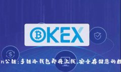 DFChain公链：多链冷钱包即将上线，安全存储您的