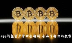 Bitkepp钱包资产管理全解析：全面了解你的数字资