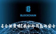 冷钱包签名会泄露吗？揭秘冷钱包的安全性与风