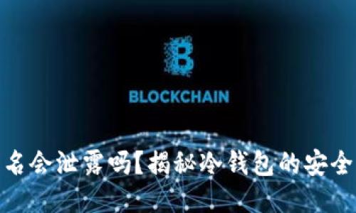 冷钱包签名会泄露吗？揭秘冷钱包的安全性与风险