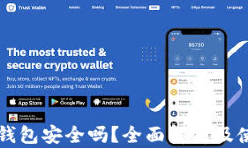 
货币冷钱包安全吗？全面解析及使用指南