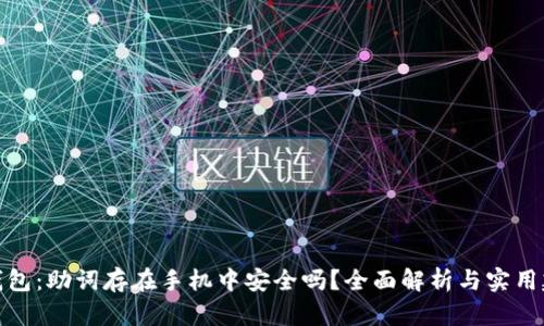 TP钱包：助词存在手机中安全吗？全面解析与实用建议