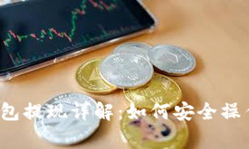 t p钱包观察包提现详解：如何安全操作与注意事项