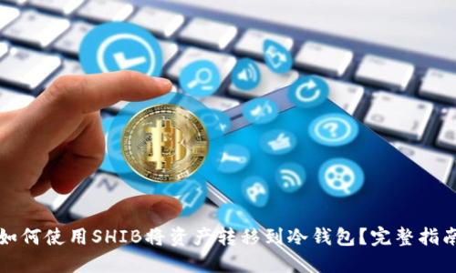 如何使用SHIB将资产转移到冷钱包？完整指南